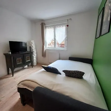 Apartment Le Passage Cocooning A Centre Touristique Colmar