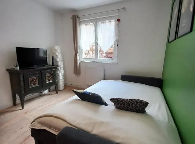 Appartement Le Passage Cocooning à Centre Touristique Colmar
