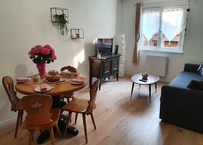Le Passage Cocooning à Centre Touristique Appartement Colmar